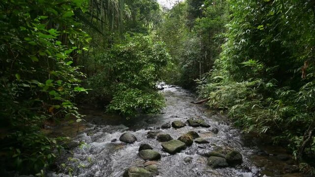 Drone view of the creek with water rapid flows through the rocks surrounded by lush foliage plants in tropical rainforest. Ton Prai Waterfall, Phang Nga Province, Thailand.