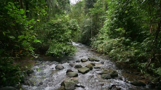 Aerial view of the creek with rapid flowing water through the rocks surrounded by lush foliage vegetation in tropical rainforest. Ton Prai Waterfall. Phang Nga Province. Thailand.