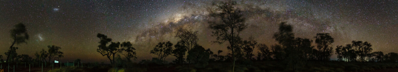 Astrophotography of the Milky Way with Trees