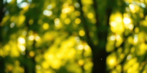 Obraz premium Abstract Blurred Background of Golden Sunlight Filtering Through Lush Green Foliage
