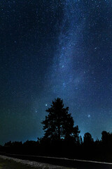 Silhouettes trees the background of the starry sky with meteors