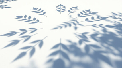 Circular pattern of leaf shadows on white sand in zen garden, peaceful, pattern, zen, surface