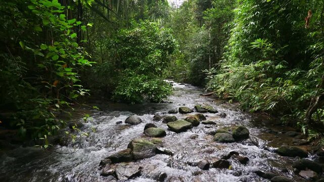 Tranquil scenery of water stream flowing through the rocks surrounded by lush foliage plants in tropical rainforest. Ton Prai Waterfall, Phang Nga Province, Thailand.
