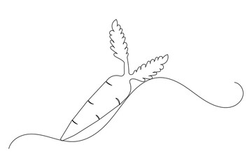 Fototapeta premium Carrot continuous one line drawing of isolated outline flat vector design