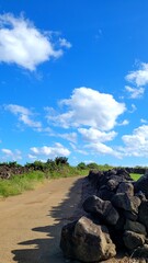 Autumn scenery of Jeju Island, Korea