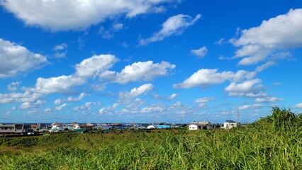 Autumn scenery of Jeju Island, Korea