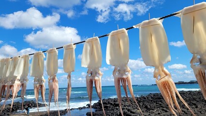 Squid, semi-dried squid, grilled squid