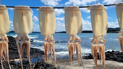 Squid, semi-dried squid, grilled squid