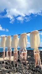 Squid, semi-dried squid, grilled squid