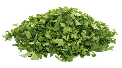 Fototapeta premium Dried parsley leaves