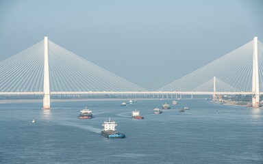 Cable-stayed bridge over river with cargo ships.