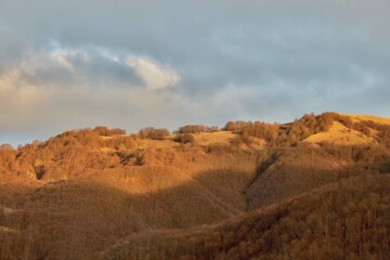 Obraz premium Pian del Poggio