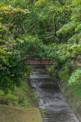 Fototapeta premium a public place leisure travel landscape lake views at Ang Kaew Chiang Mai University and Doi Suthep nature forest Mountain views spring cloudy sky background with white cloud.