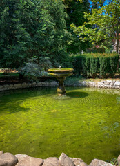 A serene garden scene with a classic fountain surrounded by lush greenery and a tranquil pond.
