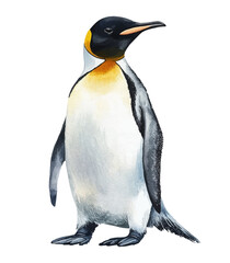 Obraz premium penguin.eps