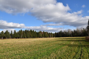 Obraz premium A field after the autumn harvest, Sainte-Apolline, Québec, Canada