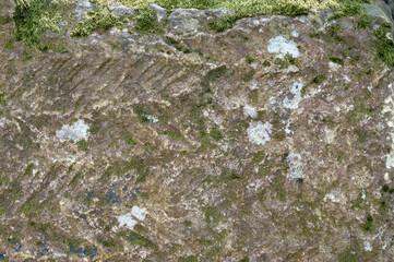 Ancient dolmens in the forest. Mysterious buildings. History.