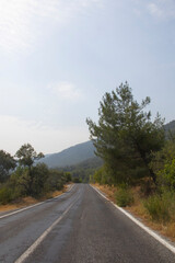 Fototapeta premium The road leading to the mountains and the green forest and yellow meadows on the roadside