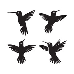 Obraz premium Eagle flying Silhouette on white background By 