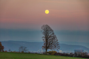 Vollmond &uuml;ber dem Bruderholz bei Bottmingen BL