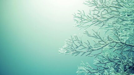 Obraz premium A serene underwater scene featuring delicate, frosty branches against a soft, muted background.