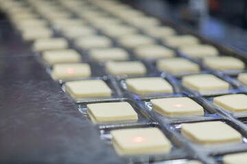 Obraz premium cheese factory industry 