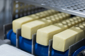 cheese factory industry 