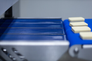 cheese factory industry 