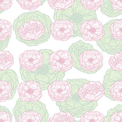 Beautiful Peony Blossom Repeat Pattern Design