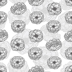 Beautiful Peony Blossom Repeat Pattern Design