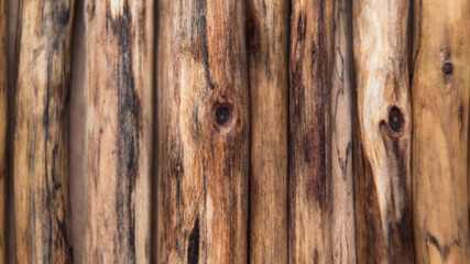 Fototapeta premium Selective focus. Close-up of weathered driftwood sticks arranged in a neat line, showcasing warm tones and vertical textures. Perfect for nature-inspired or creative backgrounds, rustic designs