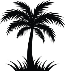Obraz premium Palm tree silhouette grass with white background.
