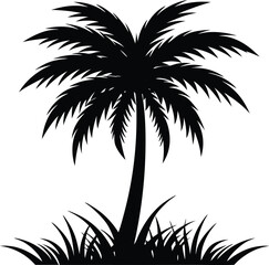 Obraz premium Palm tree silhouette grass with white background.