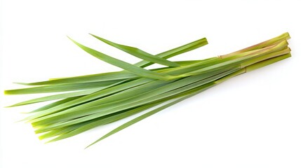Fresh Green Herb Leaves for Culinary Use