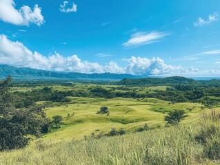 Obraz premium expansive view of clear blue sky merging with lush green grass, creating a serene natural landscape that invites relaxation and tranquility