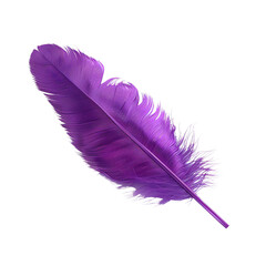 Purple Feather Isolated on White Background