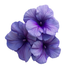 Obraz premium Close-up of Three Purple Flowers