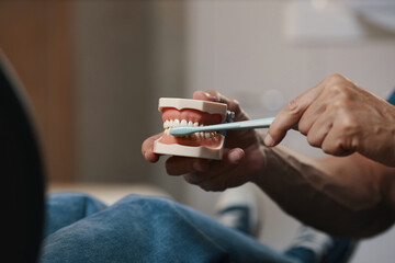 Close-up view showing use of dental model for demonstrating proper brushing technique. Focus on managing oral hygiene with detailed hand movements