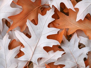 vibrant close-up of autumn leaves in an abstract design, showcasing the intricate textures and shades of white foliage, evoking a serene feel of nature's seasonal transformation