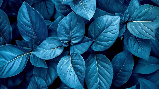 Explore the vibrant beauty of lush blue