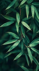Obraz premium This macro nature photograph reveals the textured beauty of bamboo leaves and stalks, with rich green tones and intricate patterns that evoke a sense of wonder for the natural world