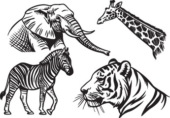 Obraz premium A collection of hand-drawn wildlife animals,