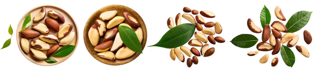 Obraz premium Collection of diverse pine nuts with leaves on a white isolated background.