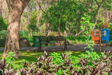 This park is called Taman Harmoni Surabaya. In this park there are various kinds of trees, flowers and play areas. Flowers in this park are various colors.