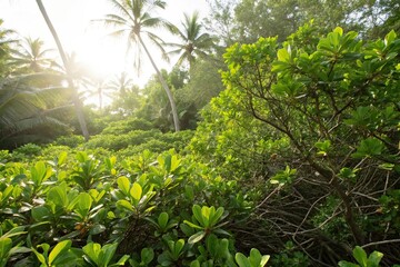 Dense thicket of small green leaves on a tropical background with sunlight filtering through, tropical, leafy, jungle foliage, small leaves, undergrowth