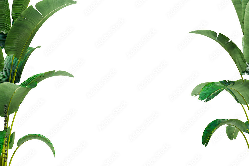 Aufkleber png transparent banana plant at corner of picture with copy space for text and element, 3d illustrra