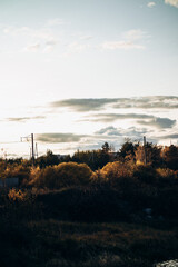 Landscape of autumn nature.