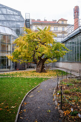 The oldest operating garden in the Czech Republic and one of the three major botanical gardens in Prague. The garden covers an area of ​4 hectares. It is visited by about 100,000 visitors annually.