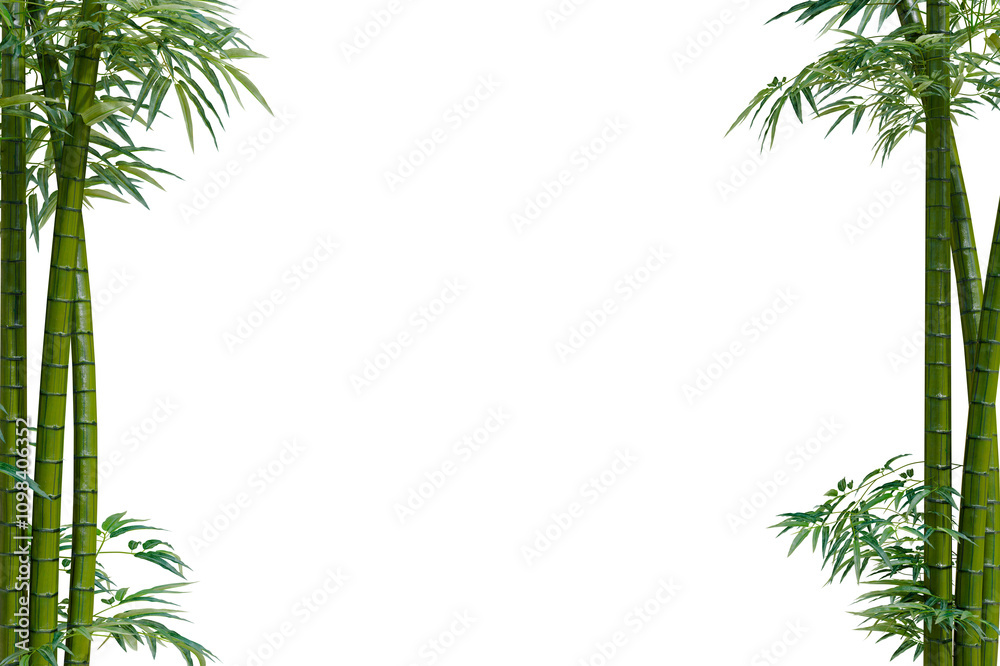 Aufkleber PNG bamboo plant at corner of picture with copy space for text and element, 3d illustrrationn rendering 