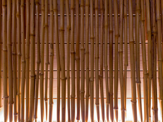 Backlighted bamboo sticks